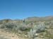 DSCF0086