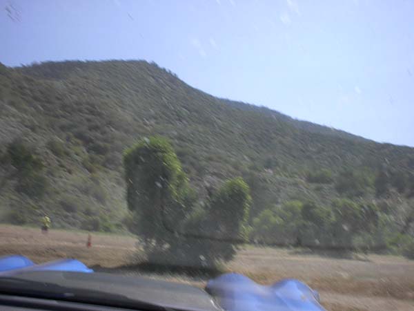 IM001769